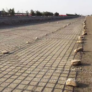 钢塑土工格栅,型号齐全,价格优惠