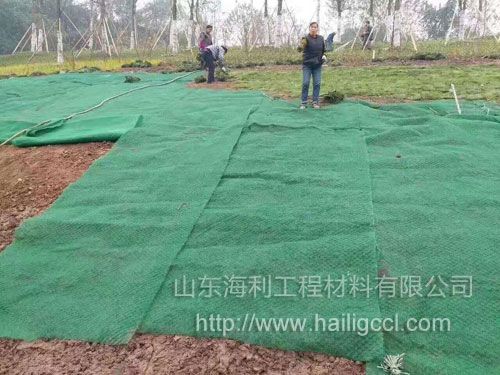三维植被网