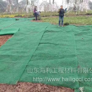 三维植被网