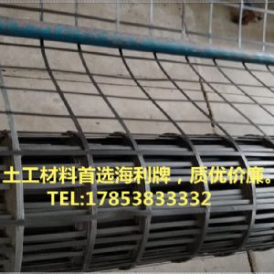 钢塑复合土工格栅   